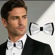 Men's Dual-Color Double-Layer Bow Tie - 2