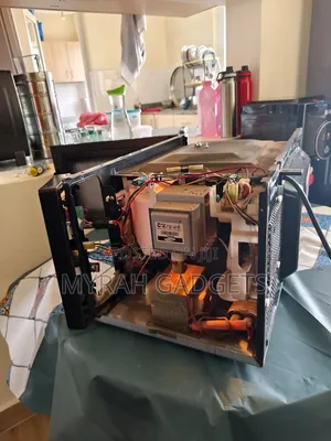 Microwave Maintenance and Repair Services