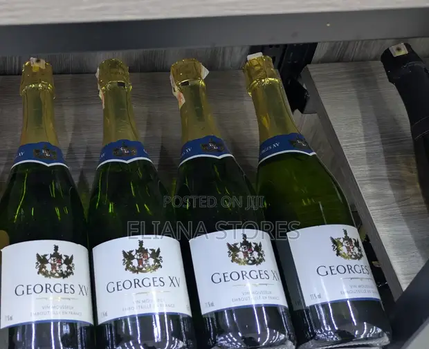 Georges XV Sparkling Brut French Wine - 1