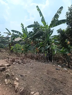 Commercial Land for Sale - 50x100ft, Nsangi