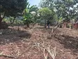 Commercial Land for Sale - 50x100ft, Nsangi - 3