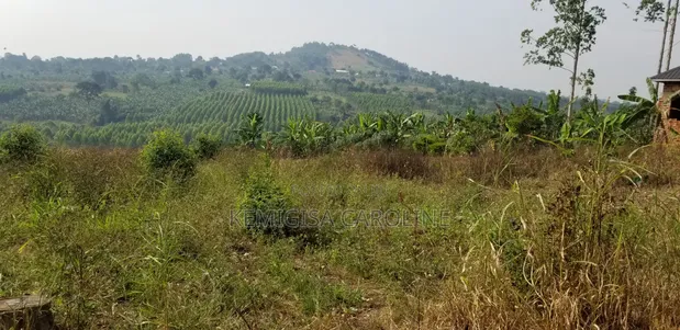 Plot for Sale - 35x60 Ft in Bulamu - 1