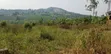 Plot for Sale - 35x60 Ft in Bulamu - 1