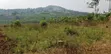 Plot for Sale - 35x60 Ft in Bulamu - 2