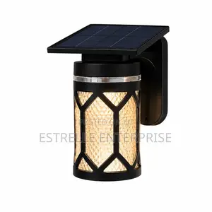 Solar Wall/Garden Light with Automatic Sensor
