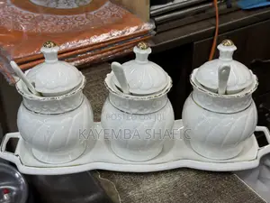 Elegant 3-Piece Ceramic Seasoning Jar Set with Tray & Spoons