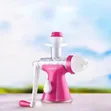 Manual 2-in-1 Fruit Vegetable Juicer & Ice Cream Maker - 3