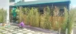 Bamboo Privacy Wing - 5