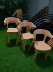 Concept Outdoor Indoor Plastic Chairs - 1