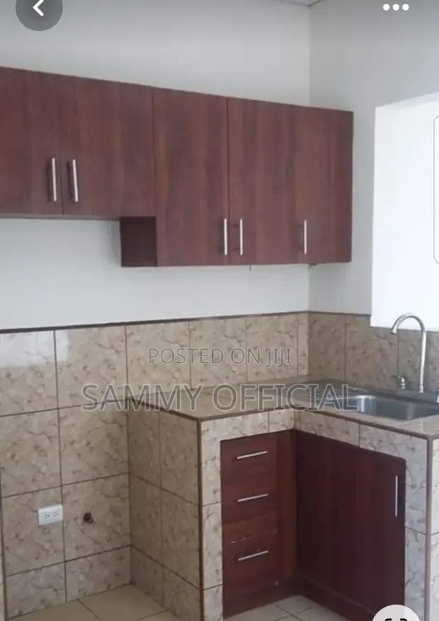 Interior Wardrobe and Kitchen Cabinets - 1