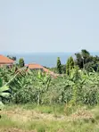 Land for Sale - Kira Shemon - 2