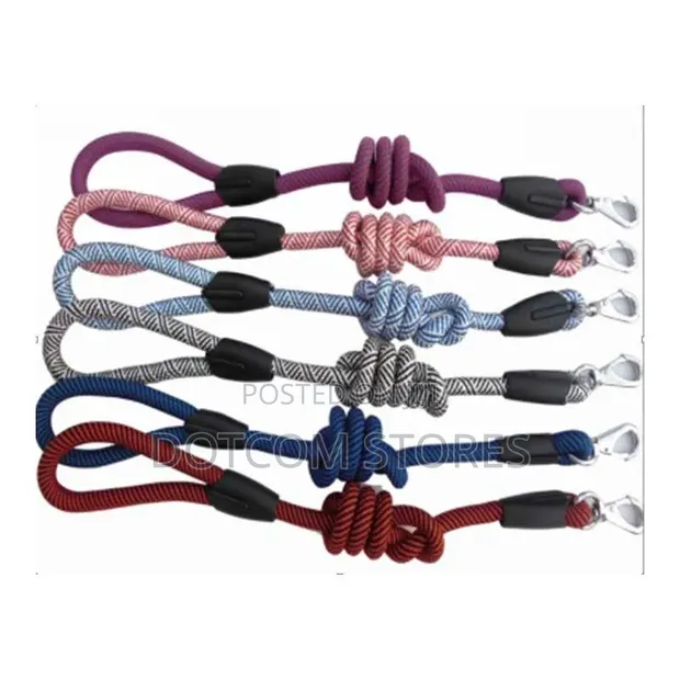 Braided Nylon Rope Leashes - 1