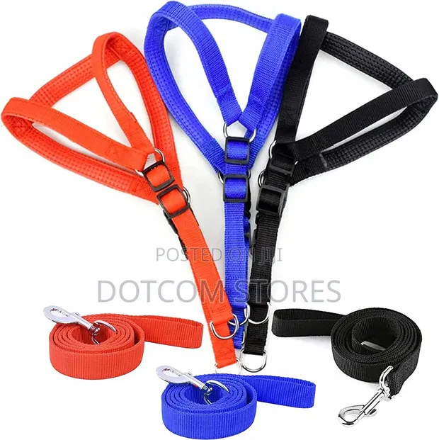 Nylon Dog Harness and Leash Set - 1