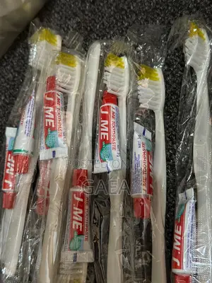 Disposable Travel Toothbrush with Toothpaste