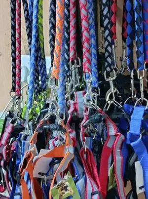 Nylon Dog Leash & Harness Set