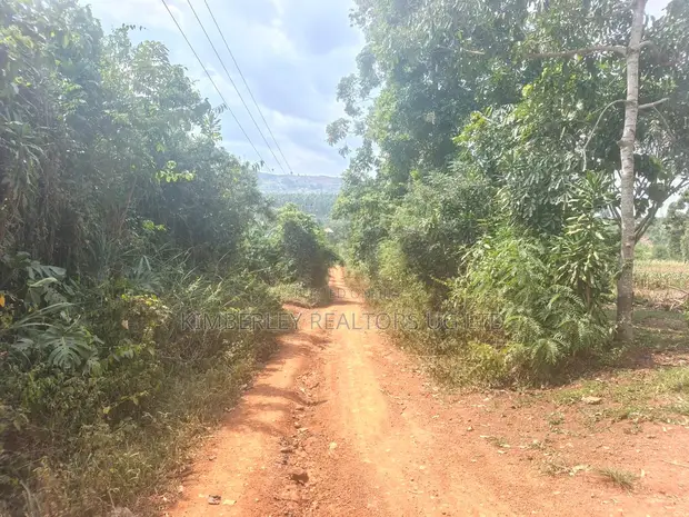 Land for Sale - Kasangati, Buwambo - 1