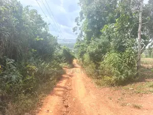 Land for Sale - Kasangati, Buwambo