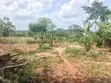 Land for Sale - Mbalala, Mukono - 2