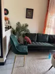 Luxury Chair - 2