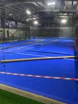 Synthetic Blue Grass Carpet - 1