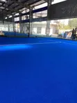 Synthetic Blue Grass Carpet - 2