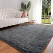 Charm Fluffy Carpet - 2