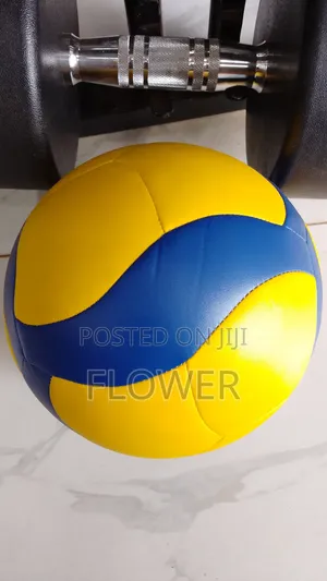 Volleyball Tubeless - Indoor/Outdoor