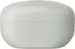 Sony WF-1000XM5 Wireless Noise Cancelling Earbuds - 1