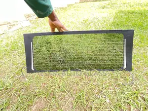 Toyota RAV4 Boot Glass