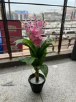Artificial Plants for Home and Office Decoration - 3