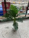 Artificial Plants for Home and Office Decoration - 5