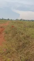 Estate Plots for Sale - Entebbe Road, Ngongolo - 2