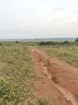 Estate Plots for Sale - Entebbe Road, Ngongolo - 3
