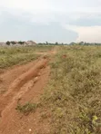 Estate Plots for Sale - Entebbe Road, Ngongolo - 4