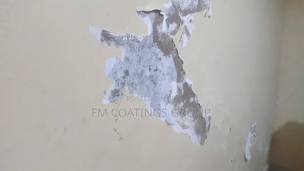 Wall Waterproof Repair Service - 1