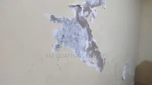 Wall Waterproof Repair Service