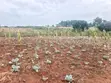 Land for Sale - Mukono Mbalala - 2