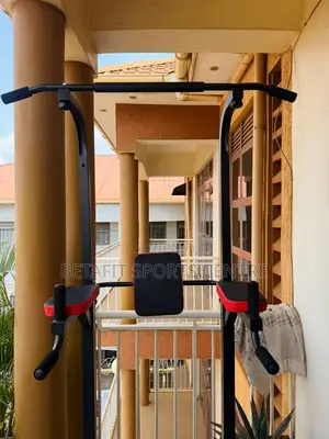 Brand New Pull-Up/Dip Station