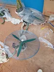 30-inch Industrial Estia Stand Fan - 2