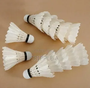 12pcs Competition 1138 Feather Badminton Shuttlecocks
