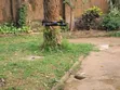 E88Pro RC Foldable Drone (No Camera) - 5