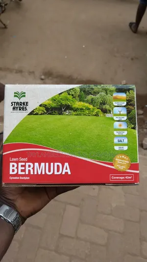 Bermuda Lawn Seeds - 500g
