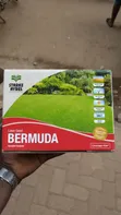 Bermuda Lawn Seeds - 500g - 2