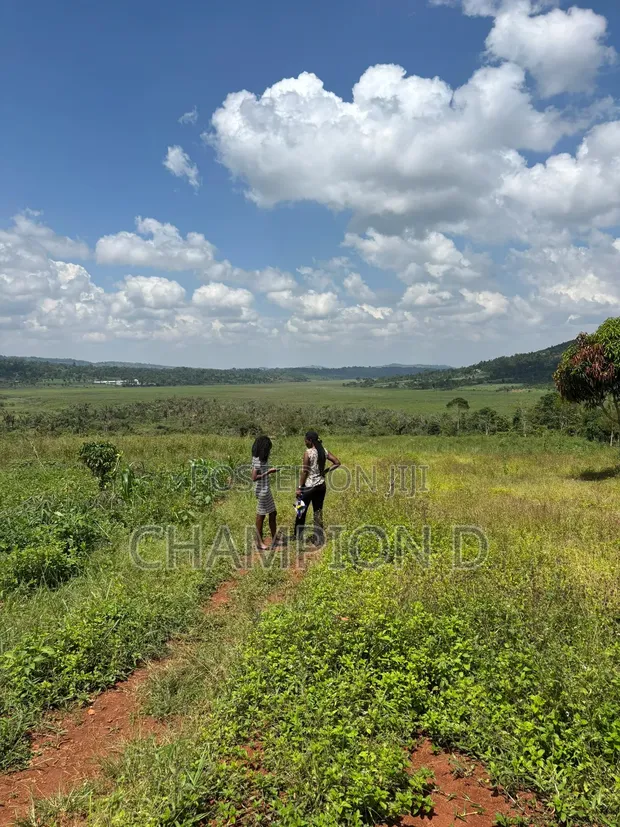 Residential Land for Sale in Ntenjeru / Mukono - 1