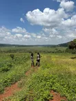 Residential Land for Sale in Ntenjeru / Mukono - 1