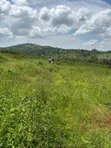 Residential Land for Sale in Ntenjeru / Mukono - 2