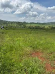 Residential Land for Sale in Ntenjeru / Mukono - 3
