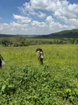 Residential Land for Sale in Ntenjeru / Mukono - 5