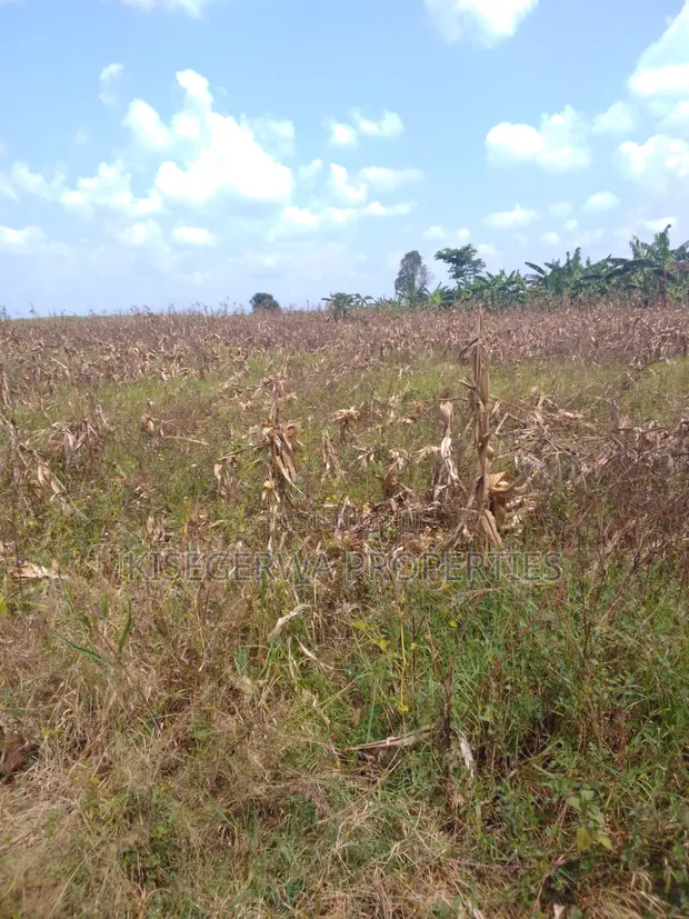 Land for Sale in Kabimbiri Kibamba - 1