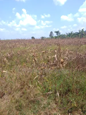 Land for Sale in Kabimbiri Kibamba